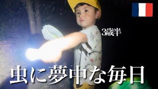 3歳児の最近の出来事|虫取り、懇談会、そして嬉しいプレゼント