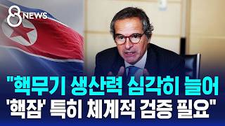 북한 핵무기 생산력 심각히 늘었다..한국 핵잠 체계적 검증 필수 / SBS 8뉴스