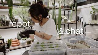 repot & chat | grieving and growing 🕊️🌱