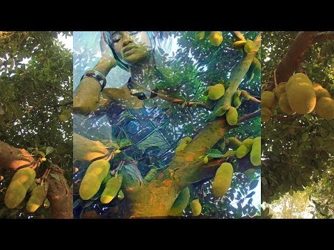 Cantigas de Odé | Oxóssi (Candomblé) com Letra - 09 - Maboxé Inxé Lokô