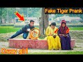 Fake Tiger Prank With Grandpa Fake Tiger Vs Public Reaction Prank Video By Razu Prank Tv