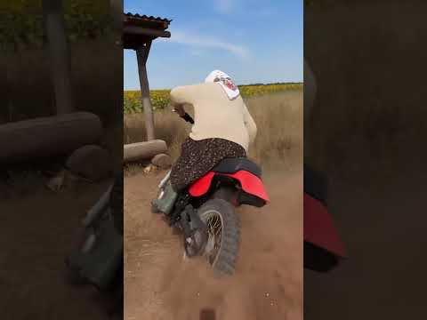 Маршрутки не буде. Буде баба на байку 😎⚡🏍️ #Motorcycle #StuntBike #GrandmaMode
