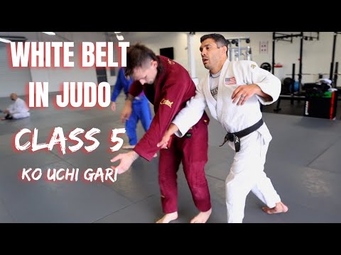 ULTIMATE Ko Uchi Gari Starting Guide - Jiu Jitsu Black Learns Judo