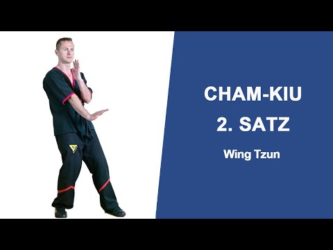 2. Satz Cham-Kiu zeite Wing Tzun Form lernen mit Sifu Sergej