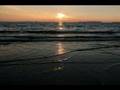 Long-view - Falling for you 