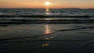 Long-view - Falling for you