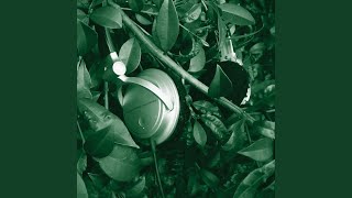 Headphone Silence (Henrik Schwarz Remix/Dixon Edit/Ame Approved)