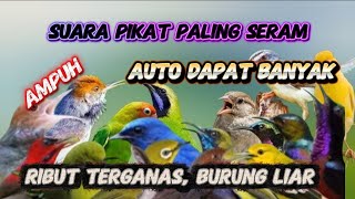 Download lagu MP3 PIKAT BURCIL KOMBINASI SOGON RIBUT DAN KONIN RIBUT ANTI ZONK PUTAR SEKALI LANGSUNG NYAUT mp3