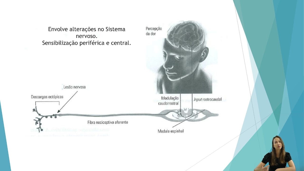 Tipos de dor: nociceptiva, neuropática e visceral