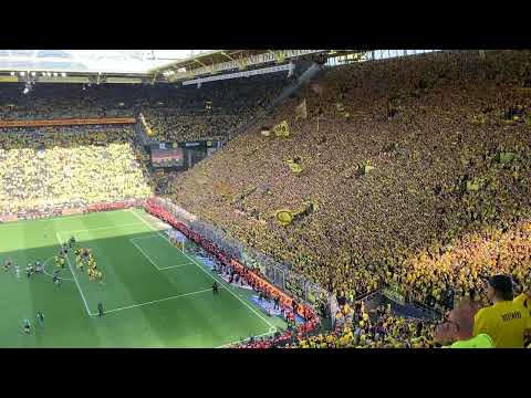 BvB Mainz Fans Südtribüne Dortmunder Jungs