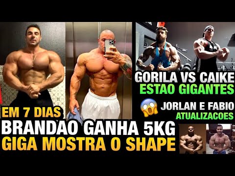 BRANDÃO E GIGA SHAPES ATUAIS - CAIKE e GORILA ENORME - SHAWN RHODEN VOLTANDO + JORLAN  E MAIS
