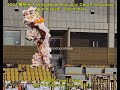 2024 Worldwide Roar World Preliminary 中国队 Team China