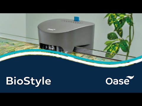 Watch Video on YouTube