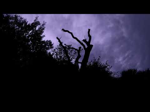 [SOLD] Alpha Wolf x Fit for a King Type Beat - "Artificial" (Prod. by Matt Browning)