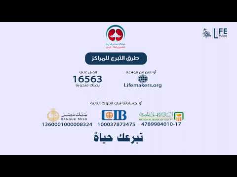 Media Production + Motion Video