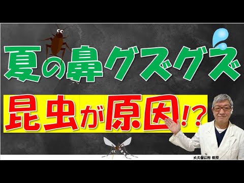ユスリカについて詳しく解説