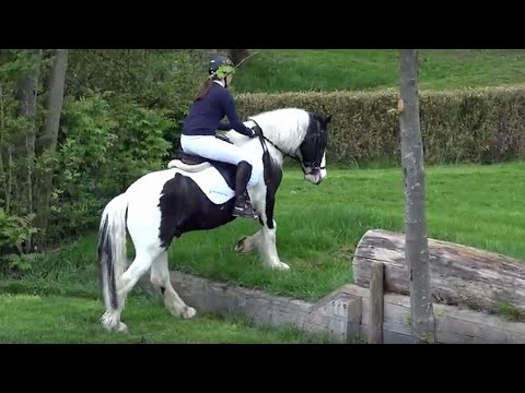 Freizeitpferdechampionat: Gruppengeländeritt