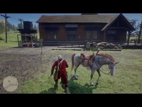 Red Dead Redemption 99% completion, hunting request poster not appearing