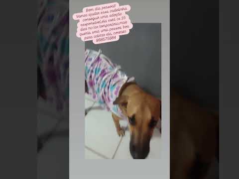 Vídeo de Não tem nome