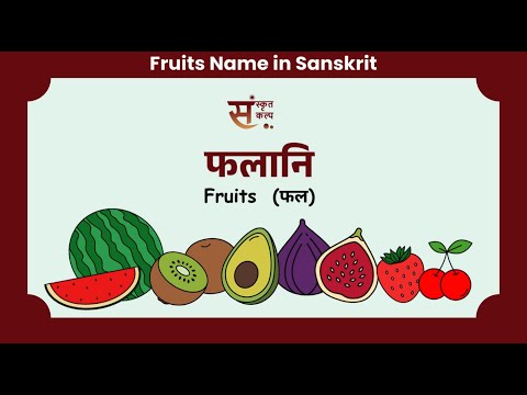 Fruits Name in Sanskrit