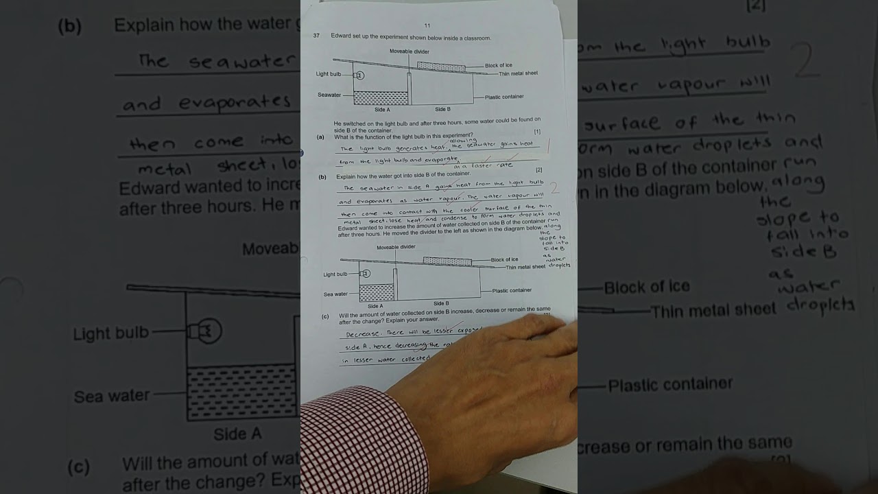 P5 n P6 Mastering OEQs