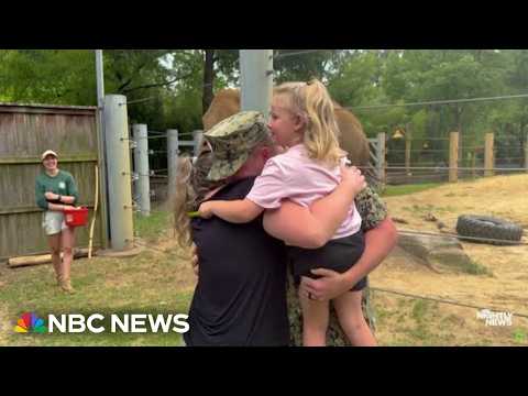 Emotional moment military dad surprises his family at the zoo after nine month deployment