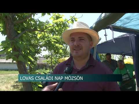 Lovas családi nap - Tolna-Mözs