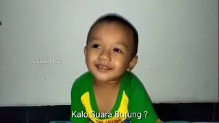 Download lagu Story' wa lucu 2019 mp3