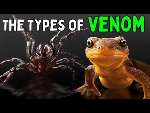 All 4 Types Of Venom Explained