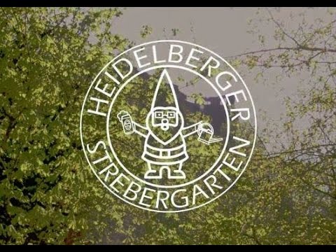 Medimeisterschaften 2017 - Heidelberger Strebergarten