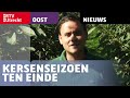 Kersenseizoen ten einde: 'Ton is ook wel toe aan een dagje vrij' [RTV Utrecht]