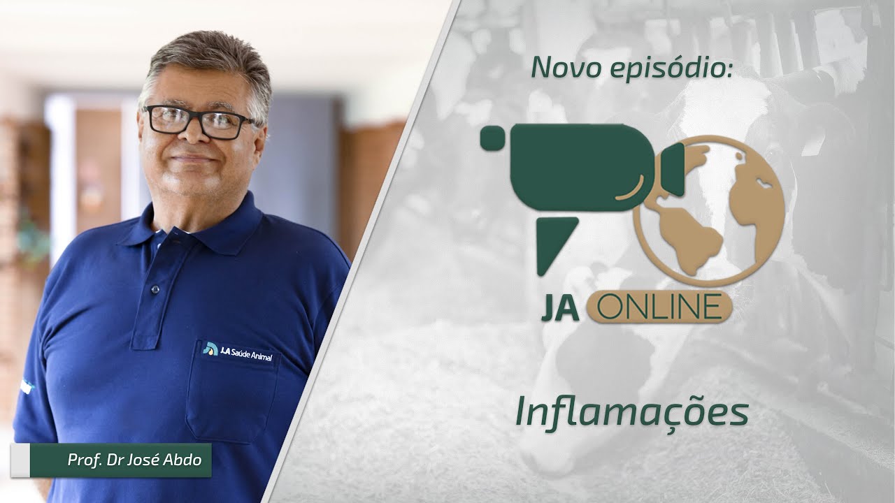 JA Online - Inflamações
