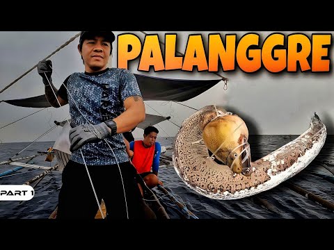 EP951-P1 - Nakahuli ng Igat sa Palanggre