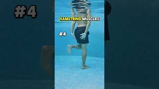 Pool Run demonstration thumbnail
