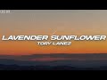 Tory Lanez - Lavender Sunflower (Lyrics)