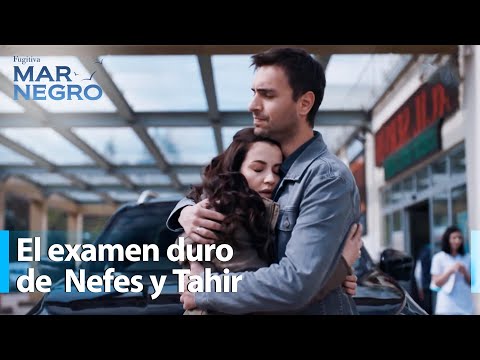 El estado de Mercan es crítico - Mar Negro Capítulo 157 | Fugitiva