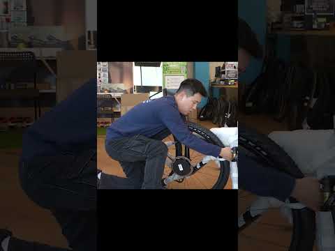 트렉 프로젝트원