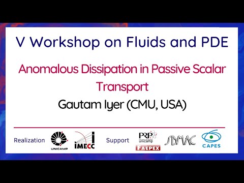 V Workshop on Fluids and PDE - September 21th, 2021 - Gautam Iyer