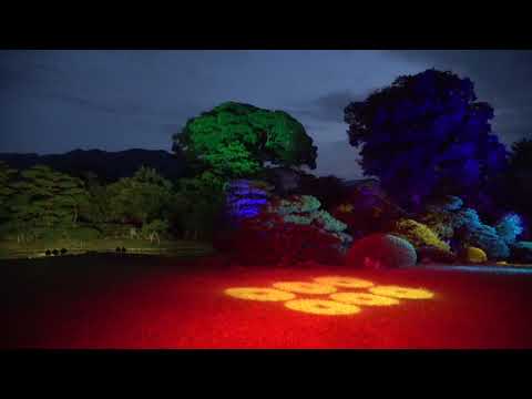 Nagano City Film No.5 松代真田邸庭園ライトアップ「幻奏」