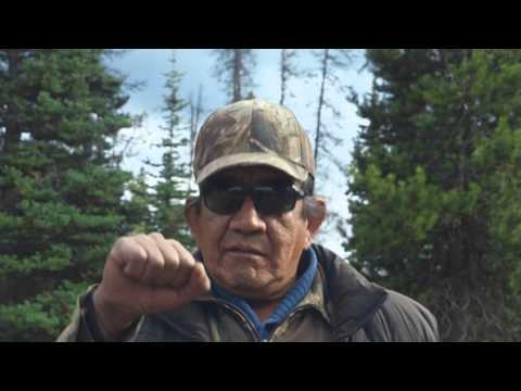 A Tribe Called Red - Unist'ot'en Camp - Stadium Pow Wow