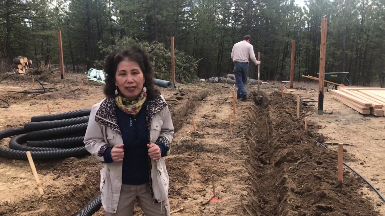 Building a Garden (Step 1) | Library @ Home