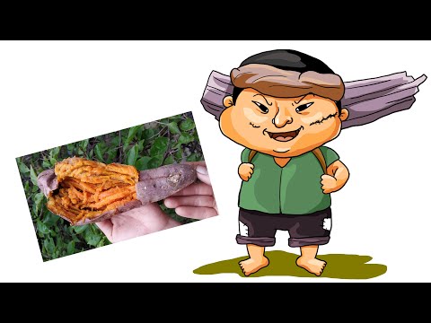 , title : 'How to turn Sweet Potatoes into a Farmer Cartoon Character - Funny Photoshop Tutorial | #5'