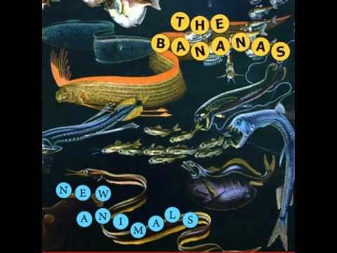 The Bananas- Time Bandits