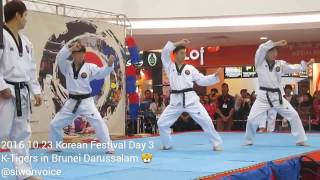 Download lagu [FANCAM] 161023 K-TIGERS in Brunei (EXO, BTS, 2PM cover) mp3