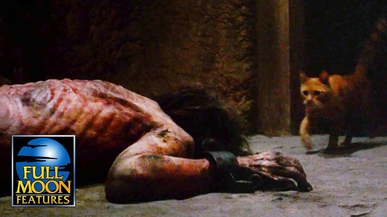 Lost Cat Leads Girl Straight To The Disfigured Prisoner