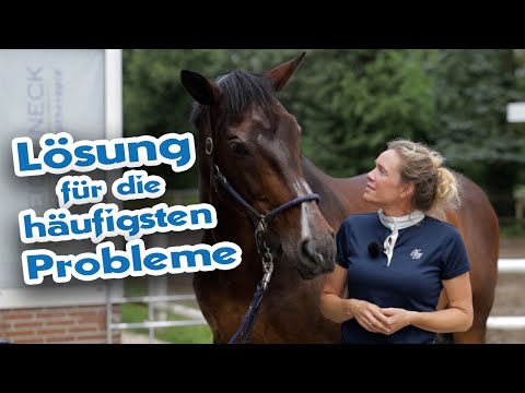 Magenprobleme beim Pferd - Ursachen finden und beheben - Pferden ein schmerzfreies Leben ermöglichen