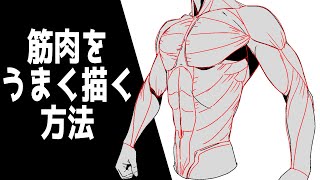  - 【本だけじゃ筋肉のつき方はわからない！】男性のカラダをかっこよく描くための実践的筋肉講座