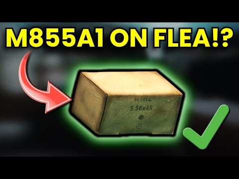 Tarkov’s WILD Ammo Update - Meta Rounds Are BACK!