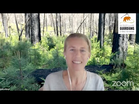 2021 0609 WildEarth Webinar