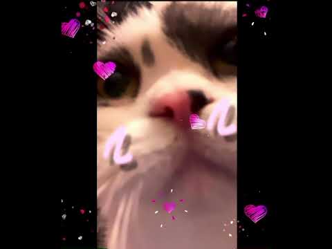 YPU Z x ProdiG - 雪愛（snow love）（cover）